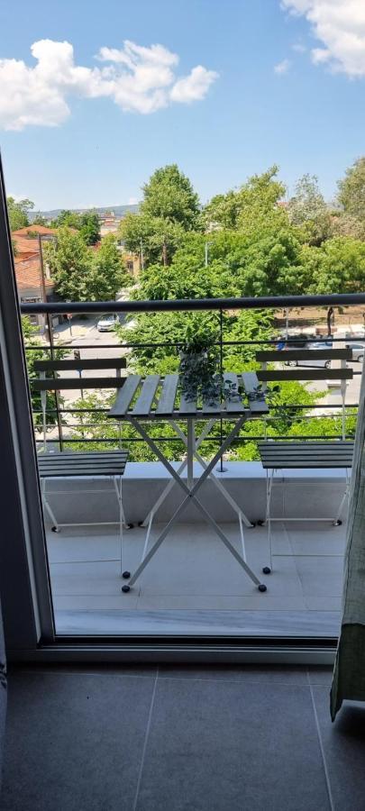 Palaia Premium Flat Lejlighed Volos Eksteriør billede